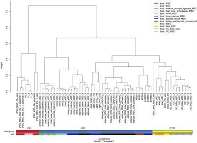 Human Induced Pluripotent Stem Cell-Derived Mesenchymal Stem Cells Acquire Rejuvenation and Reduced Heterogeneity